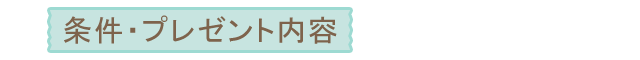 条件・プレゼント内容